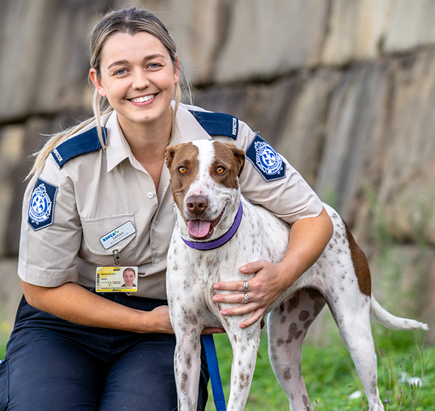 Healthy poppy posing with RSPCA Inspector